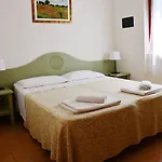 Eucalipti