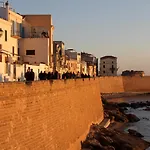 Eucalipti
