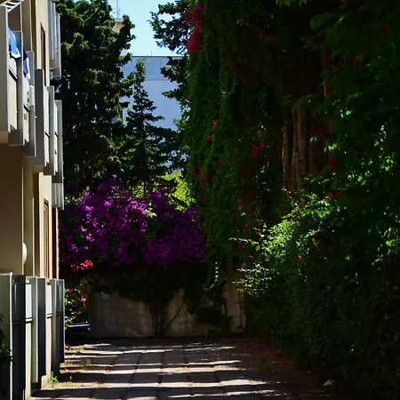 Aparthotel Eucalipti