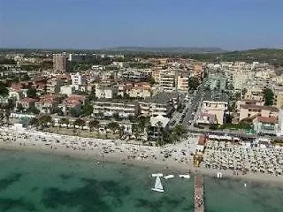 Eucalipti 3*