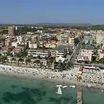 Eucalipti 3*